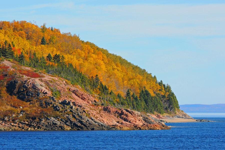 Le Beluga Tadoussac