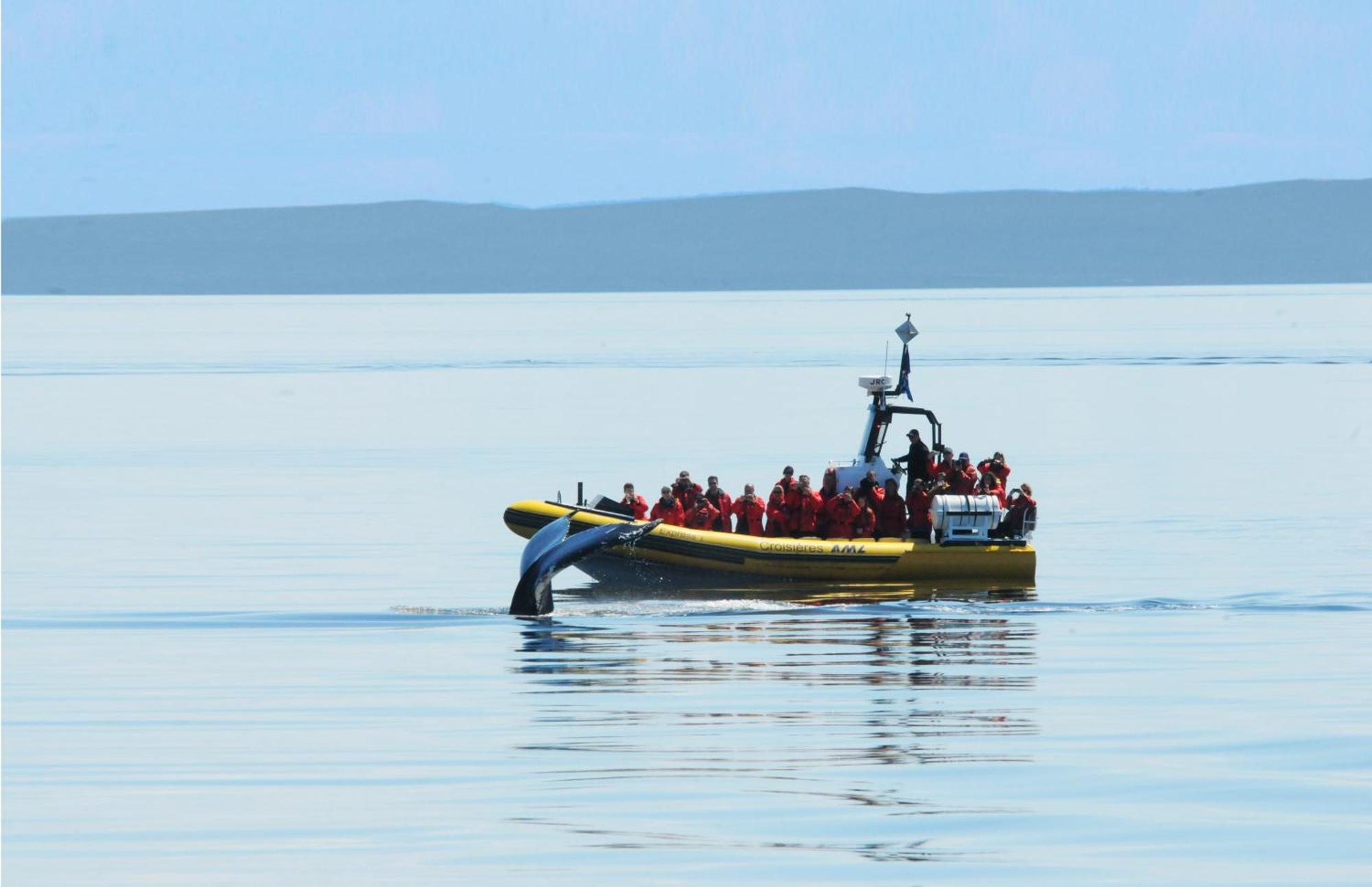 Le Beluga 3* Tadoussac