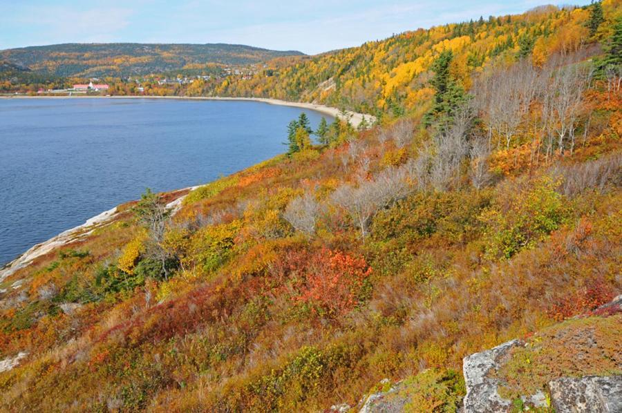 Hotel Le Beluga Tadoussac