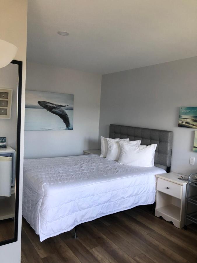 Hotel Le Beluga 3*